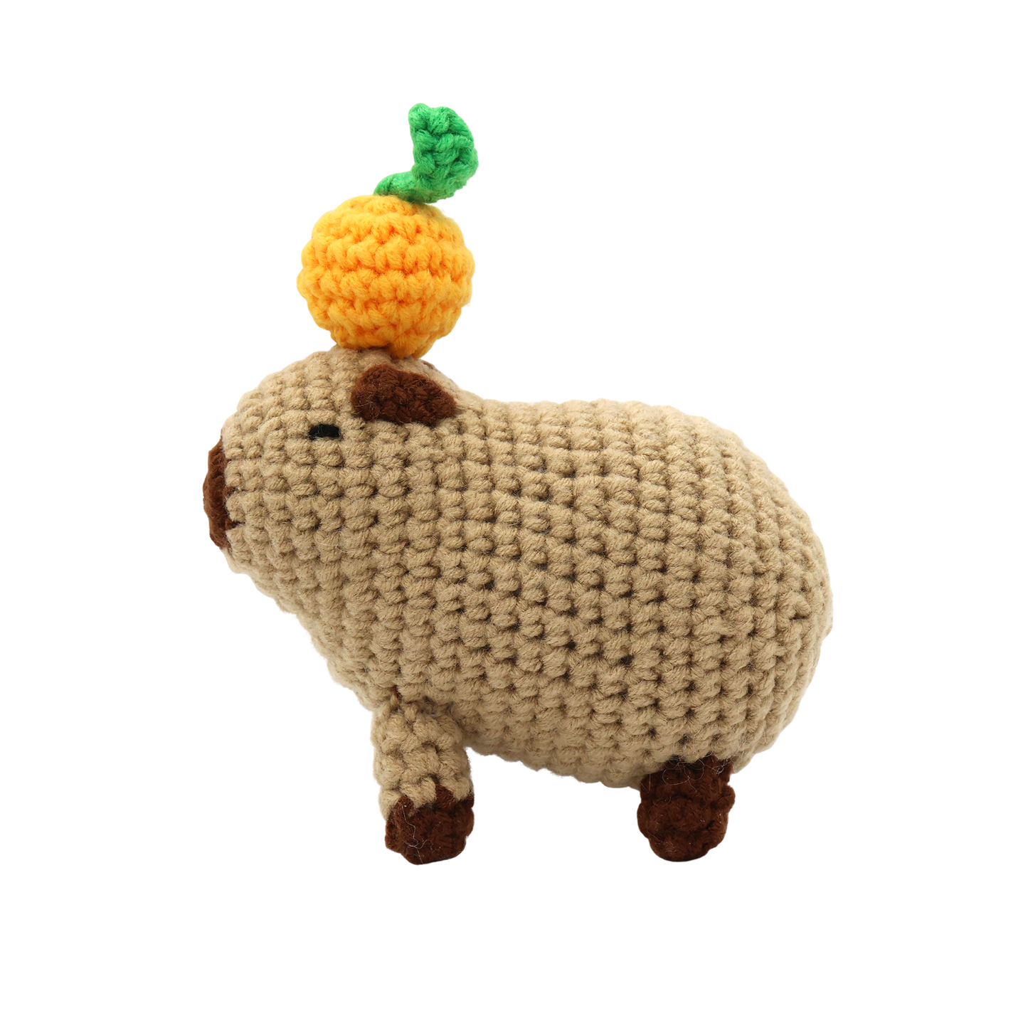 Chill Capybara - DIY Crochet Kit