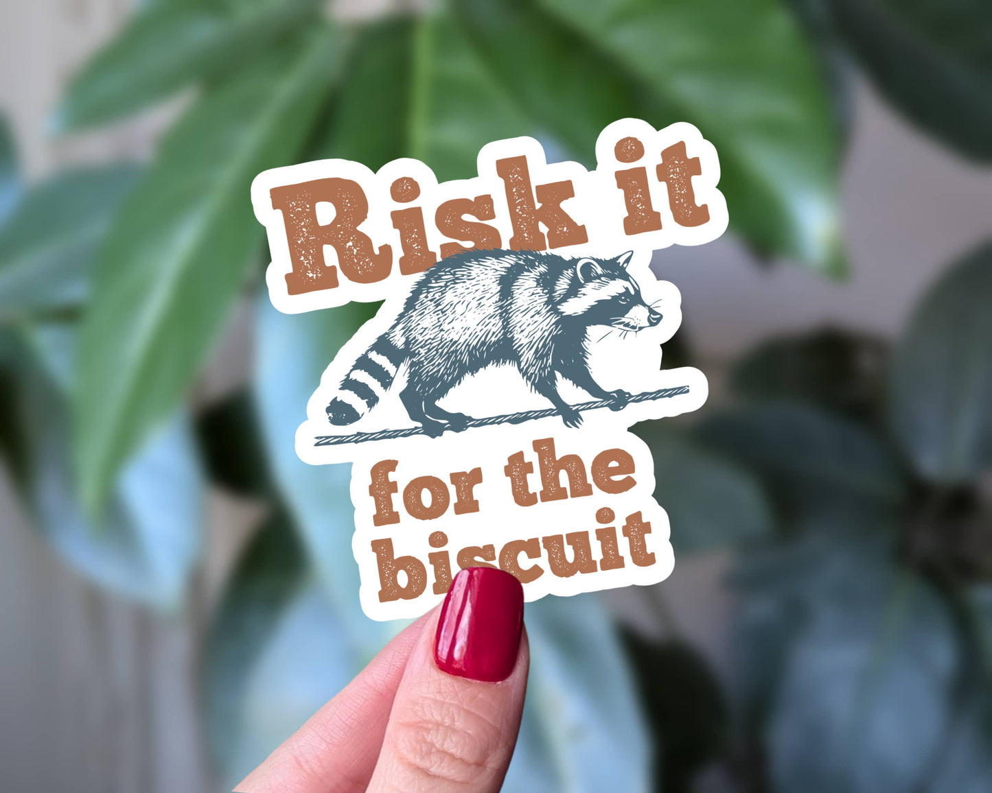 Risk It for the Biscuit Raccoon - Sticker