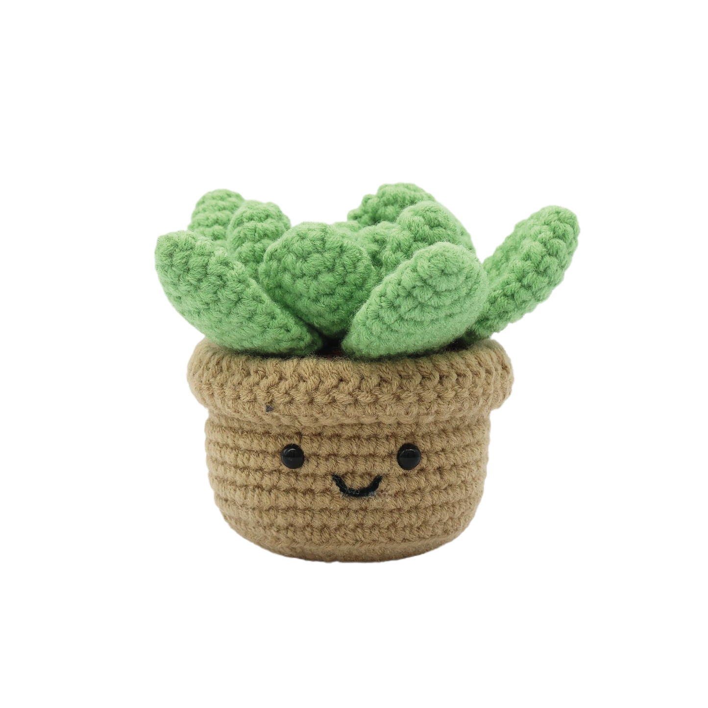 Succulent - DIY Crochet Kit