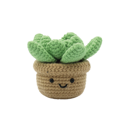 Succulent - DIY Crochet Kit