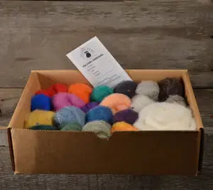 Bright Roving - Felting Kit