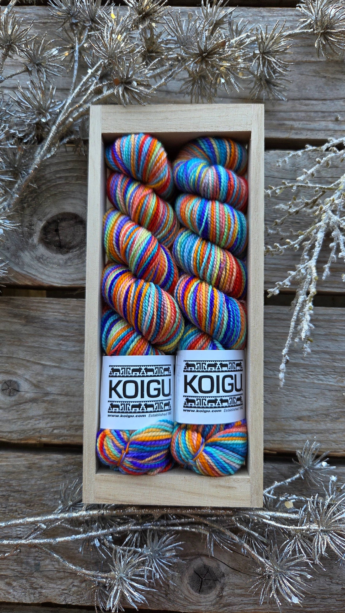 Koigu Wool Designs - Holiday Sock Crates Sock Yarn