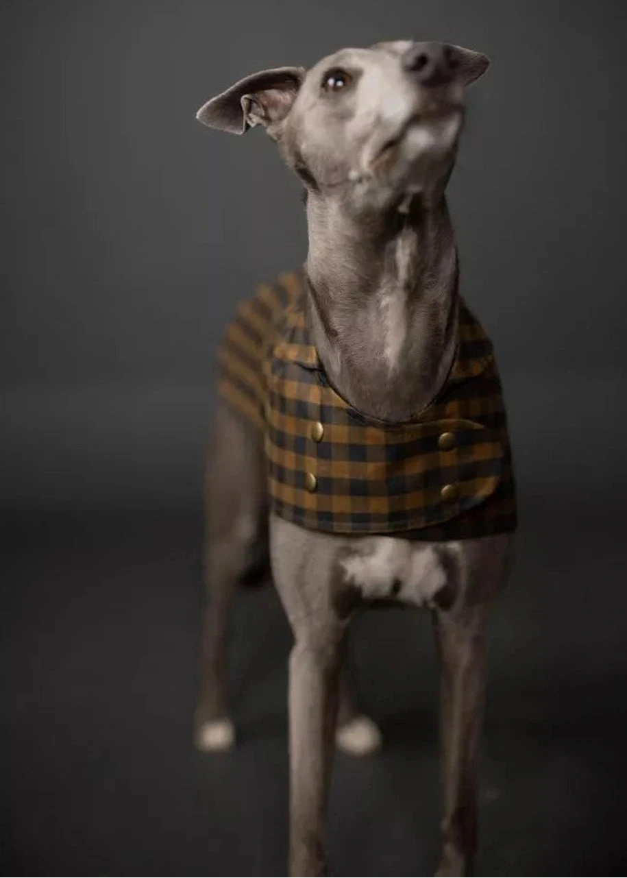 Barka (Paper Pattern) - Merchant & Mills