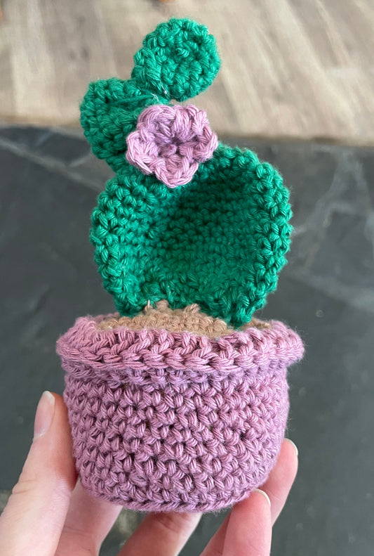 Advanced Crochet Class - Amigurumi Plant Workshop