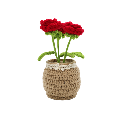 Potted Roses - DIY Crochet Kit