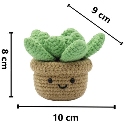 Succulent - DIY Crochet Kit