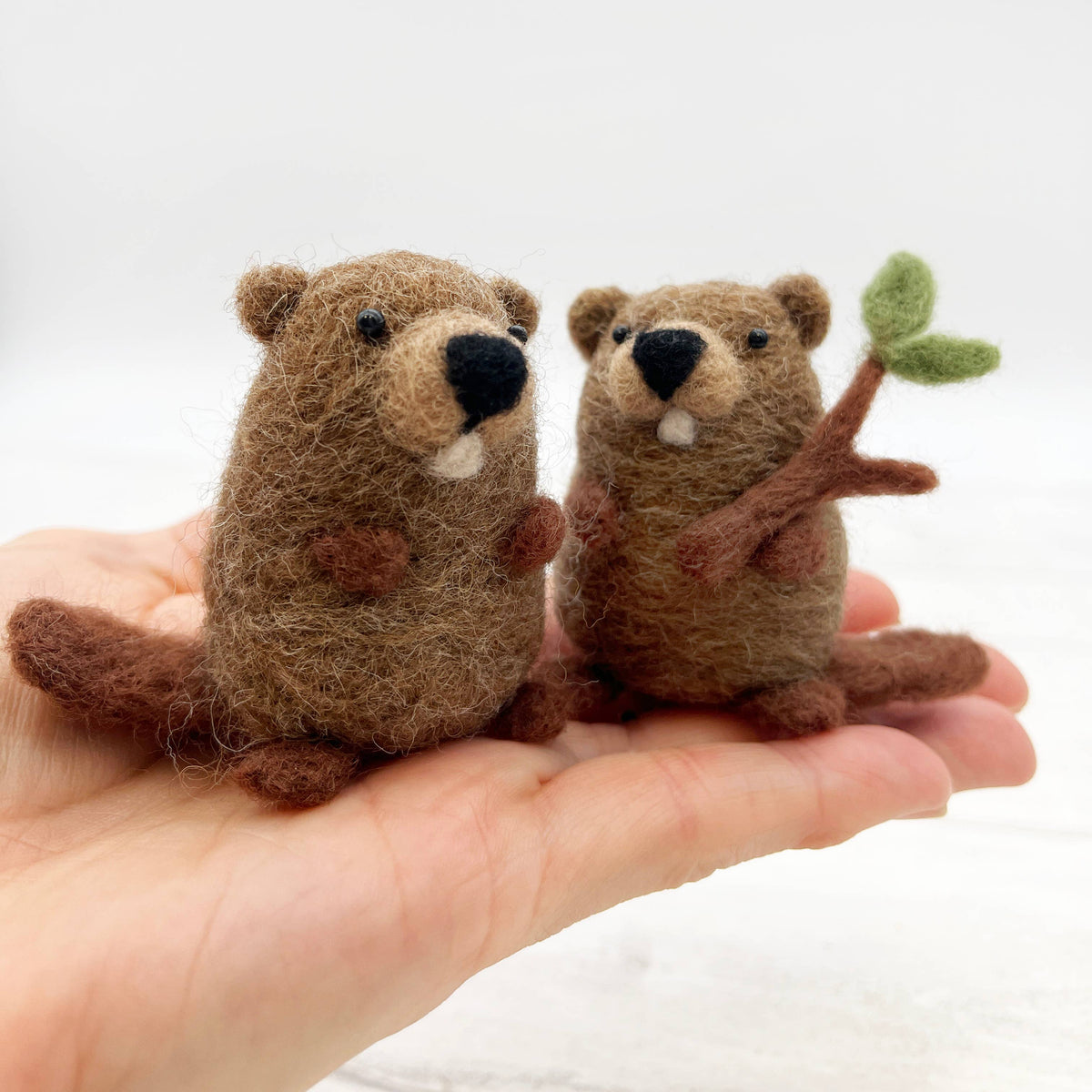 Beaver - Needle Felting Kit