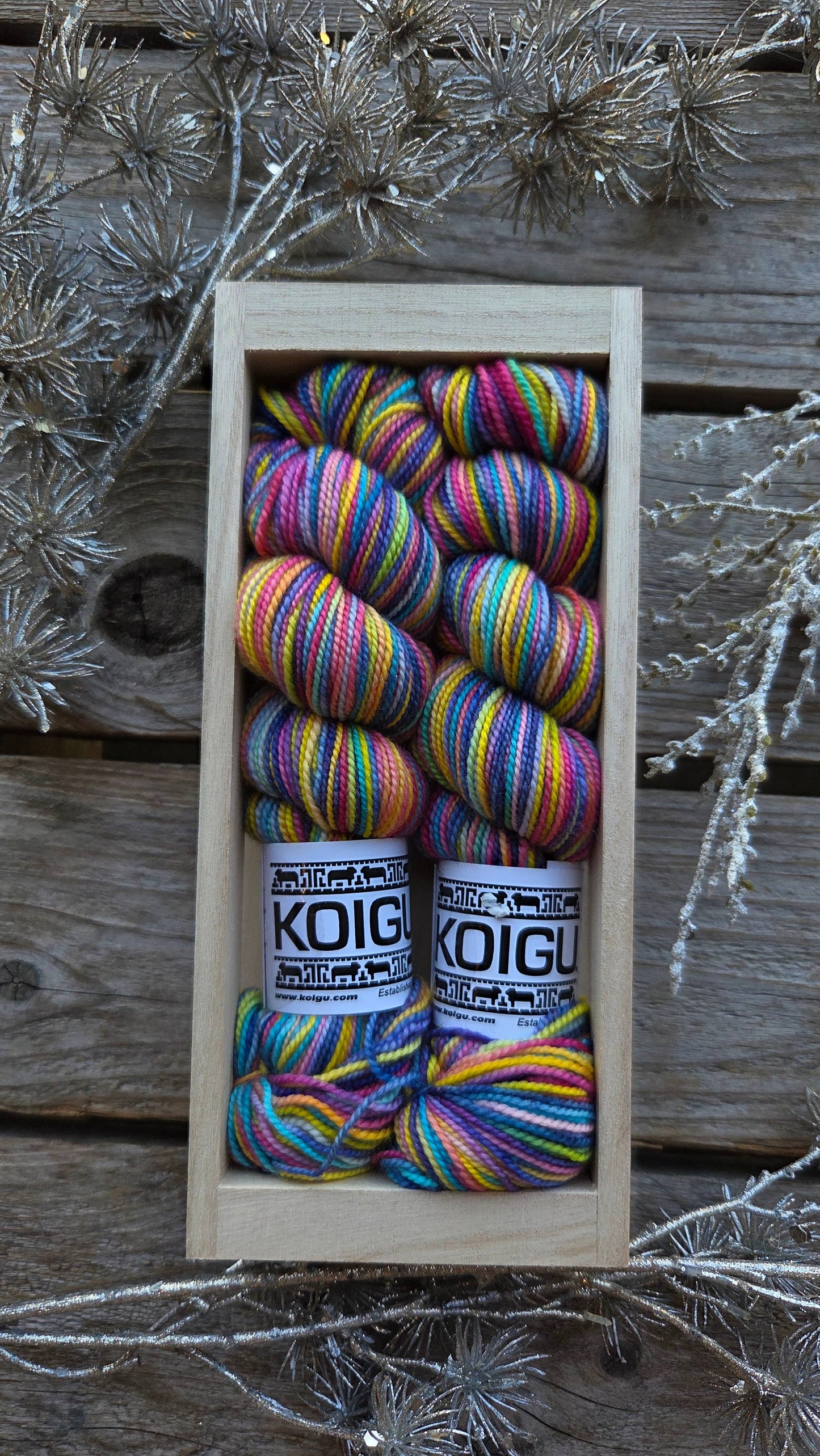 Koigu Wool Designs - Holiday Sock Crates Sock Yarn