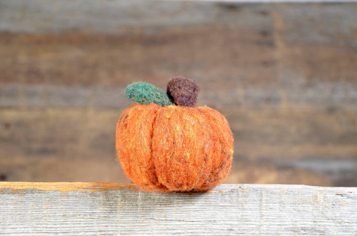 Pumpkin - Felting Kit