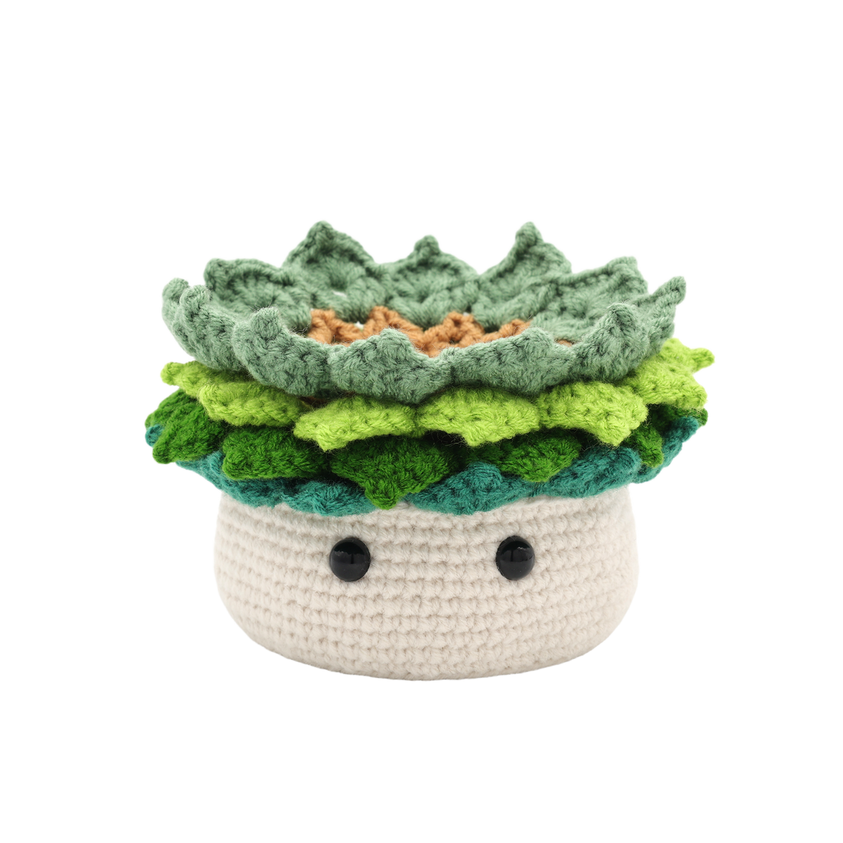 Lovely Succulent - DIY Crcohet Kit