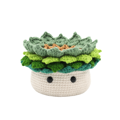 Lovely Succulent - DIY Crcohet Kit