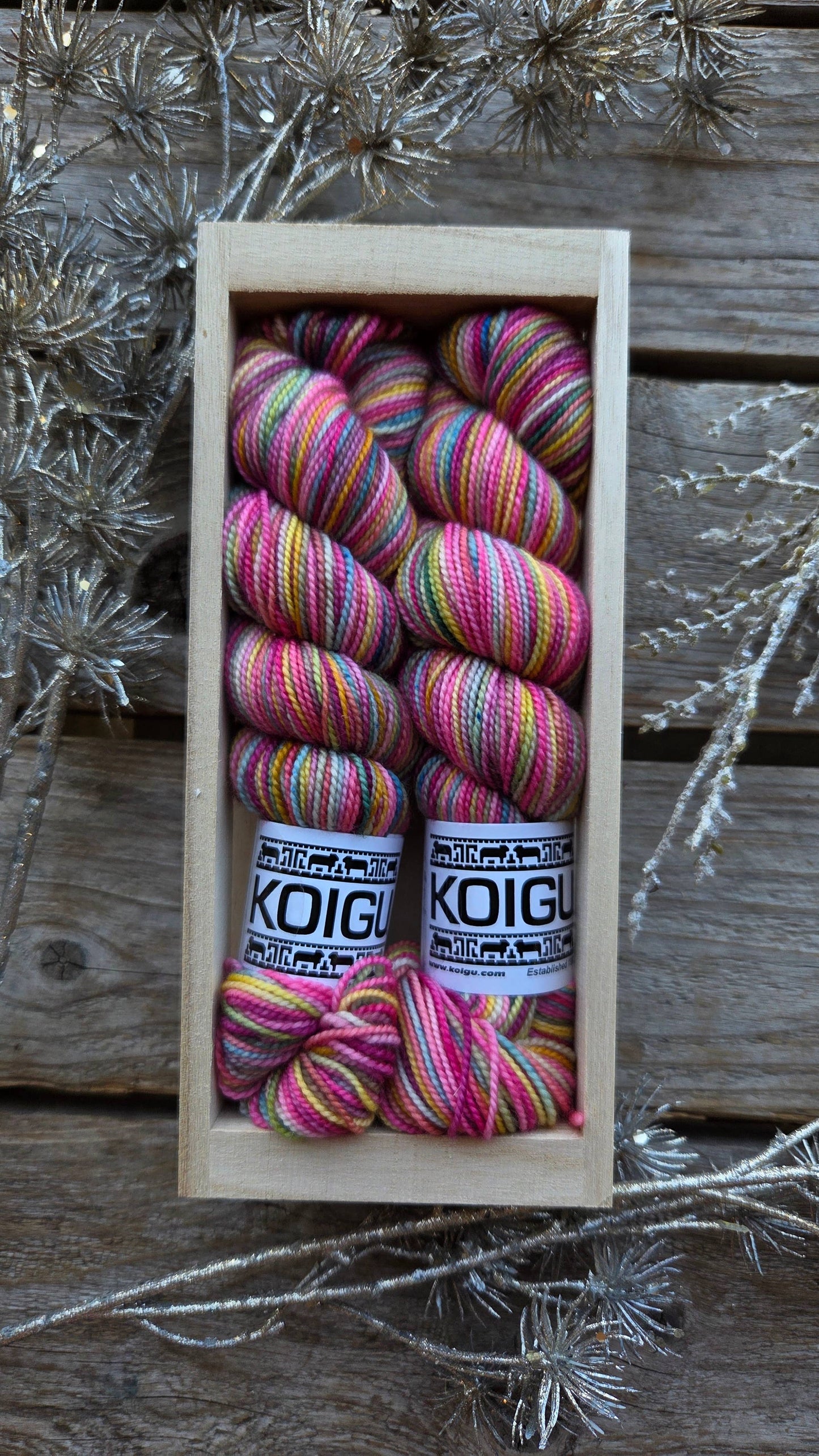 Koigu Wool Designs - Holiday Sock Crates Sock Yarn