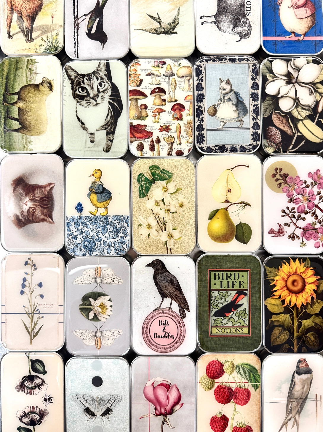 Assorted Tins - Small or Large